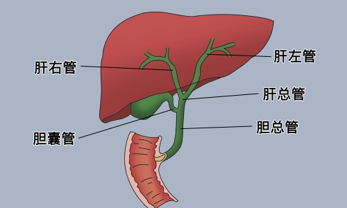 权威午时茶对应症状平台,分享专业午时茶作用知识_午时茶主治什么网