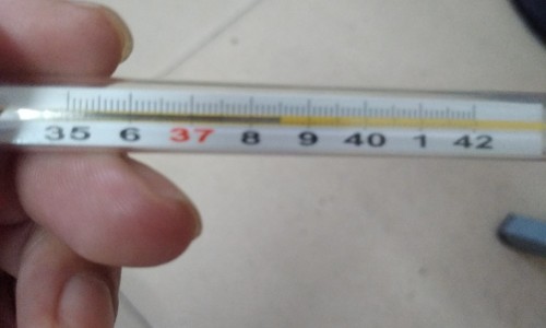 权威午时茶对应症状平台,分享专业午时茶作用知识_午时茶主治什么网